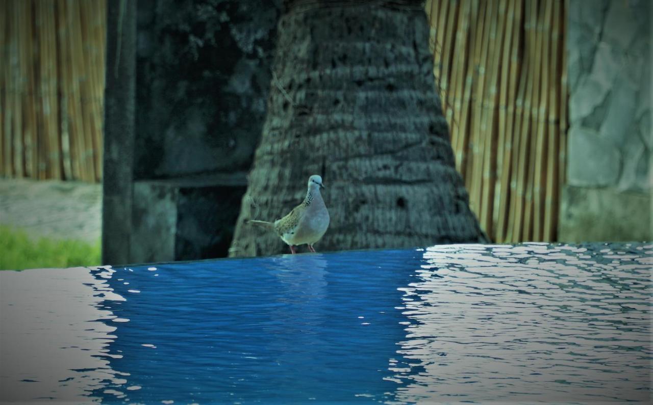 Bali Bhuana Village de vacances 3*